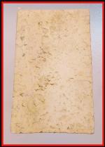 สมเด็จปรกโพธิ์หลวงปู่นาควัดระฆัง(3752) #2